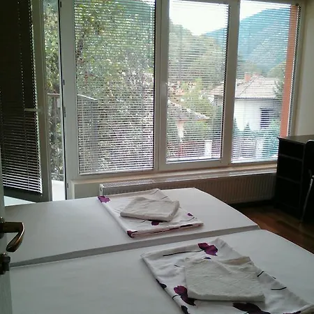 Vila Bachkovo Guest house