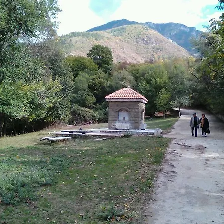 Guest house Vila Bachkovo Bachkovo